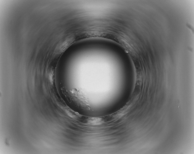 X0000096470334200801241434