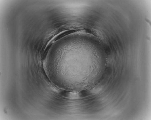 X0000096470335200801241434