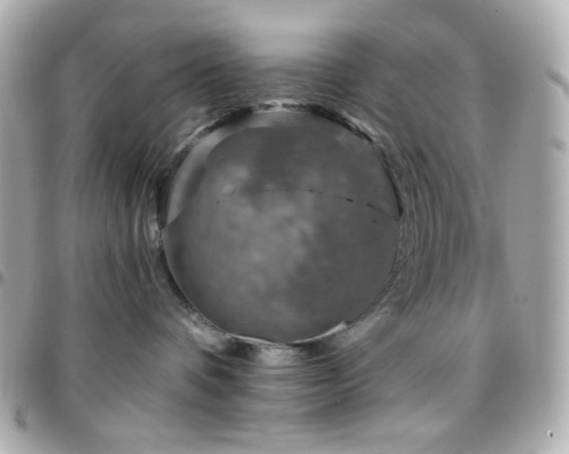 X0000096470336200801241434