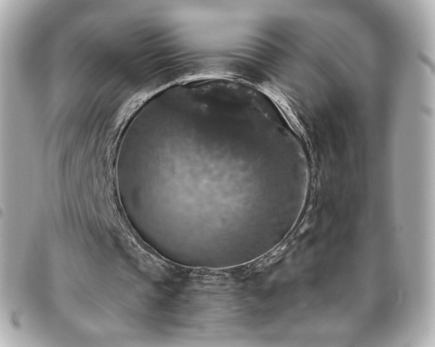 X0000096470337200801241433