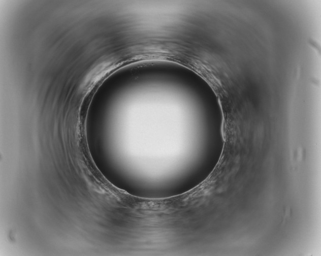 X0000096470338200801241433