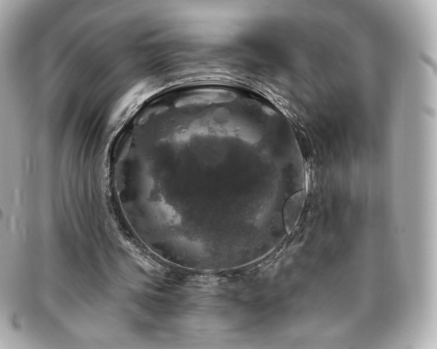 X0000096470339200801241433