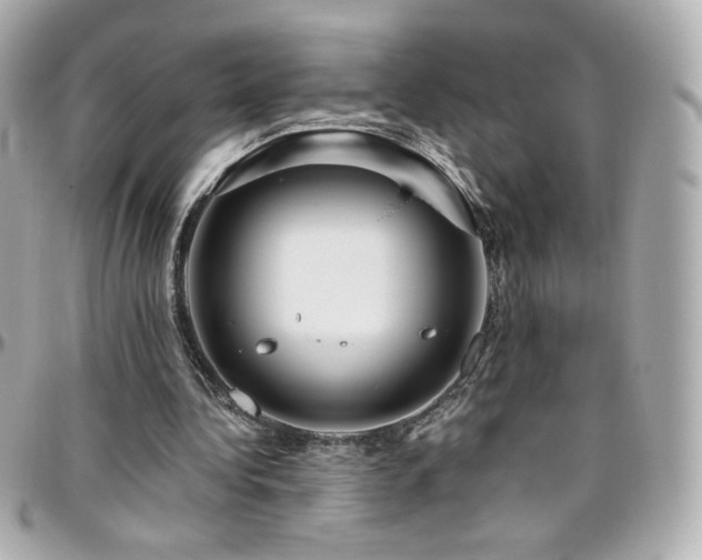 X0000096470340200801241433