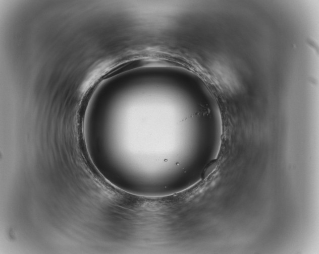 X0000096470341200801241433