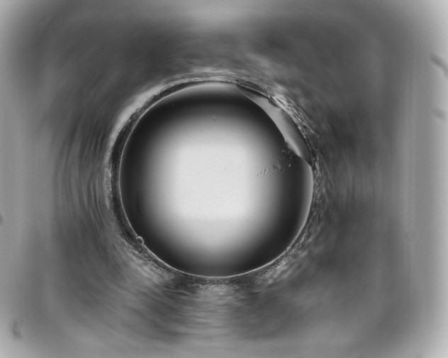 X0000096470342200801241433