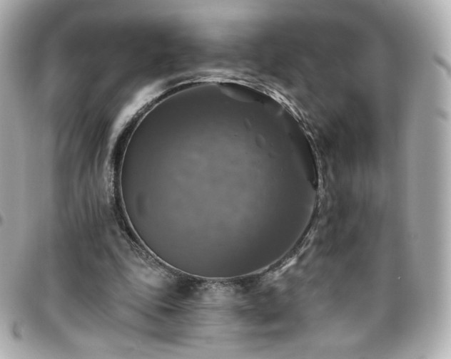 X0000096470343200801241433