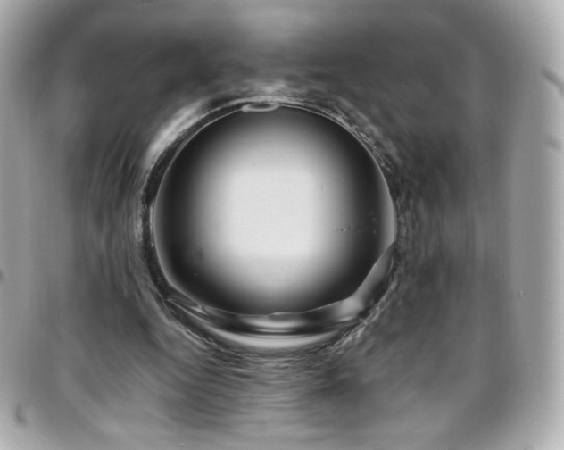 X0000096470344200801241433