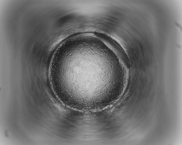 X0000096470345200801241433