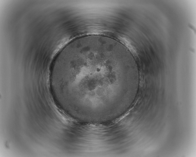 X0000096470346200801241433