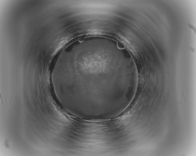 X0000096470347200801241433