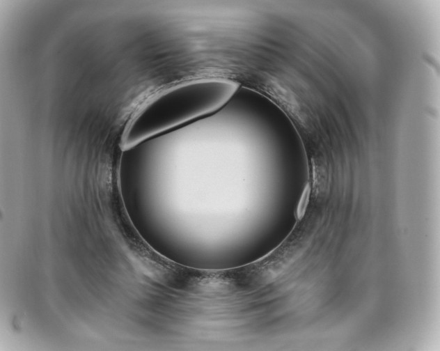 X0000096470348200801241433