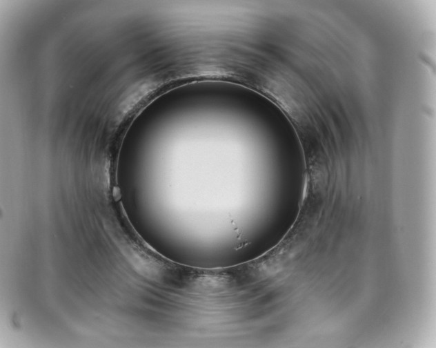 X0000096470350200801241434