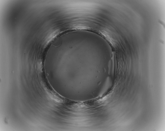 X0000096470351200801241434