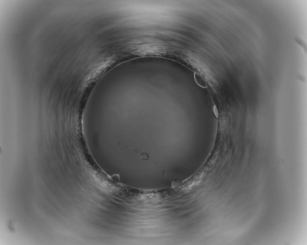 X0000096470353200801241434