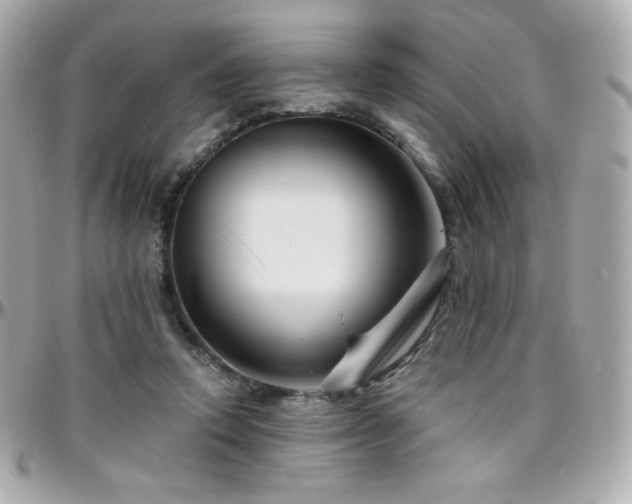 X0000096470354200801241434