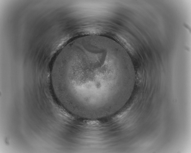 X0000096470355200801241434