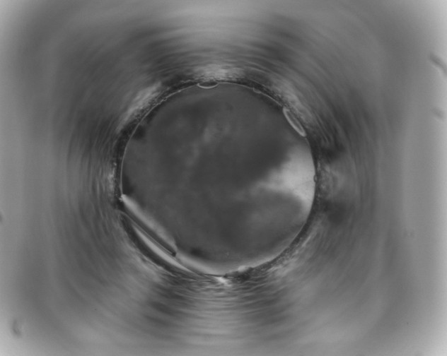 X0000096470357200801241434