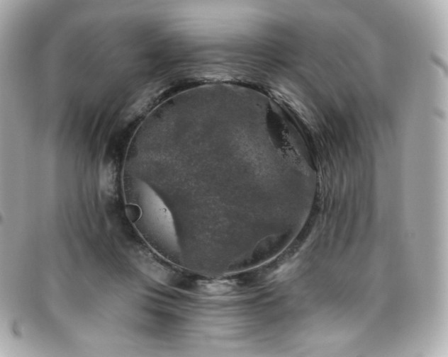 X0000096470359200801241434