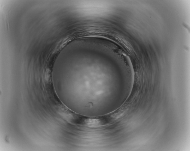 X0000096470361200801241434