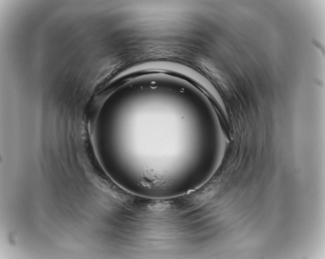 X0000096470362200801241434