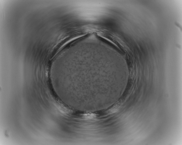 X0000096470363200801241434