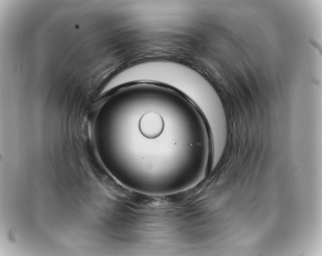 X0000096470364200801241434