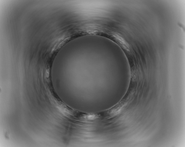 X0000096470365200801241434