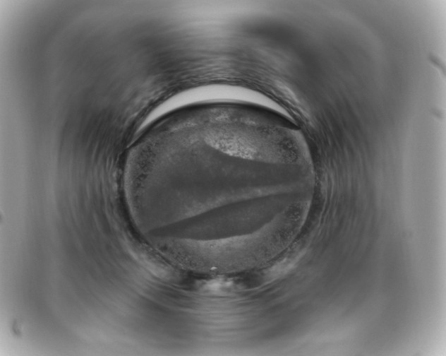 X0000096470366200801241434