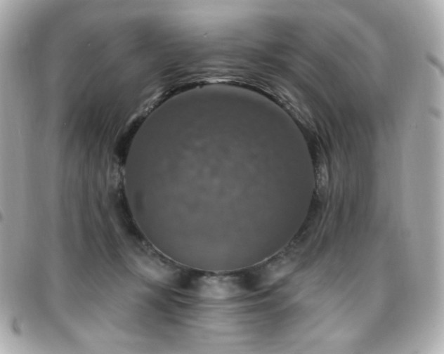 X0000096470367200801241434