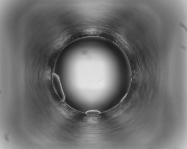 X0000096470368200801241434