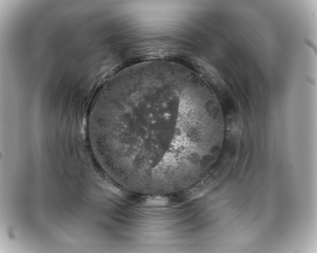 X0000096470369200801241434