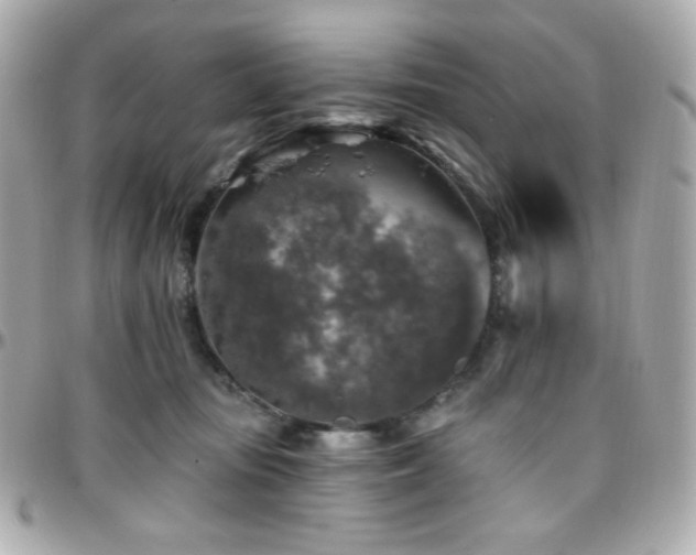 X0000096470371200801241434