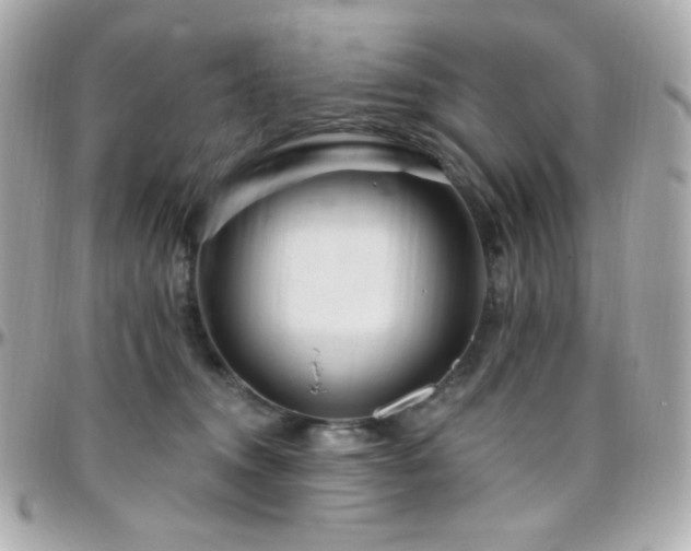 X0000096470372200801241434