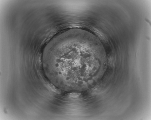 X0000096470373200801241434