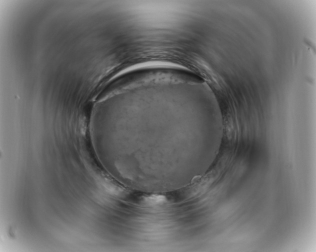 X0000096470374200801241434