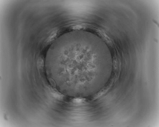 X0000096470375200801241434