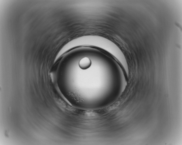 X0000096470376200801241434