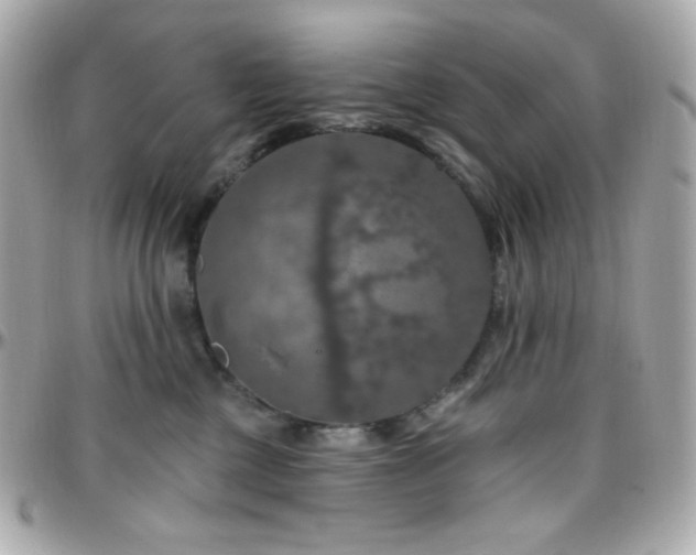 X0000096470377200801241434