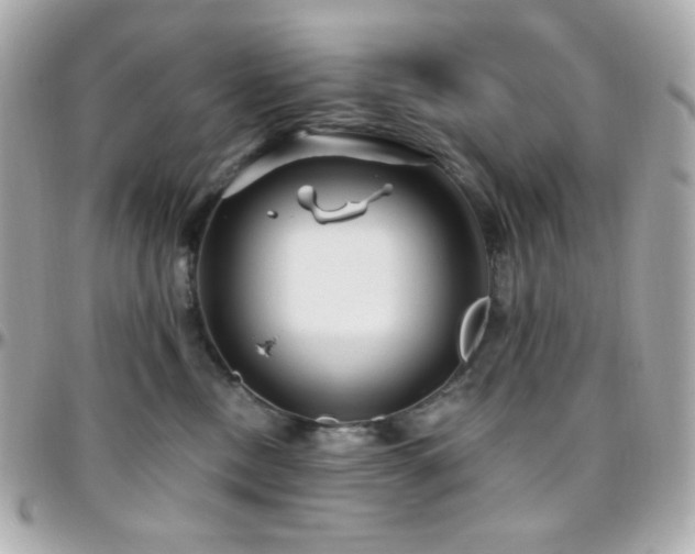 X0000096470378200801241434