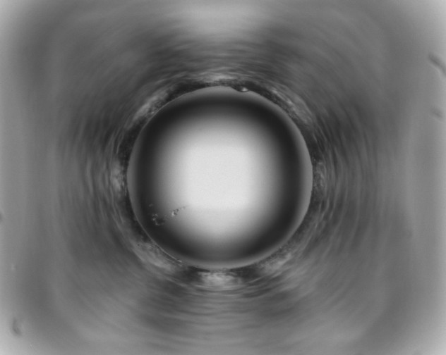 X0000096470380200801241434