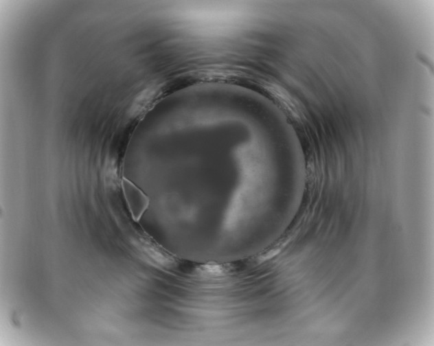 X0000096470381200801241434