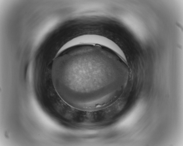 X0000096470383200801241434