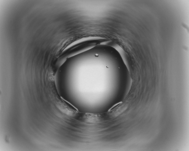 X0000096470384200801241434