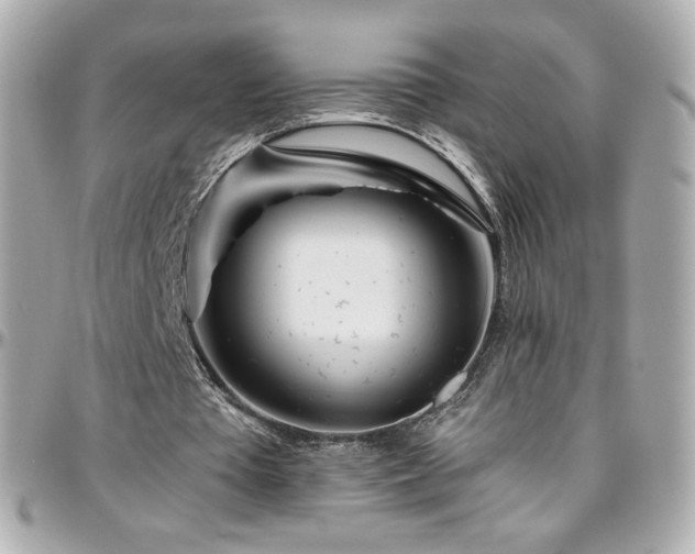 X0000096470385200801241433