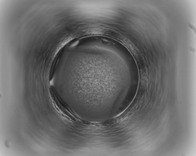 X0000096470386200801241433