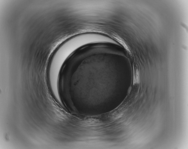 X0000096470387200801241433