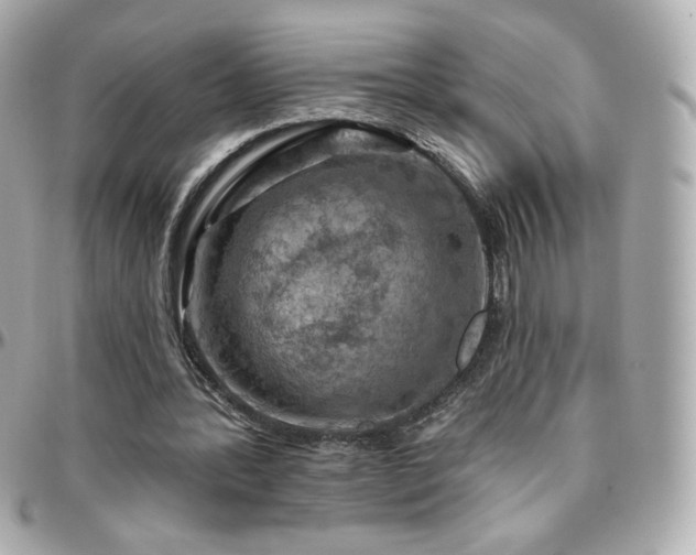 X0000096470388200801241433