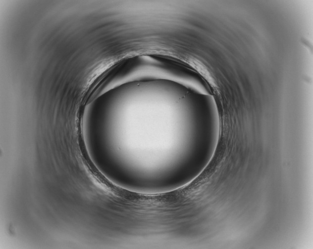 X0000096470389200801241433