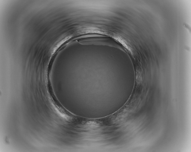 X0000096470390200801241433