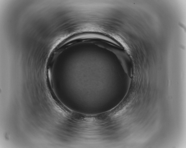 X0000096470391200801241433